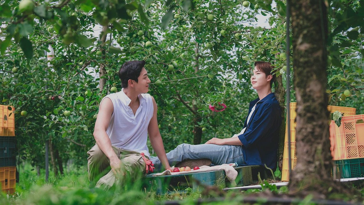 บรรทุกหัวใจใส่แทรกเตอร์